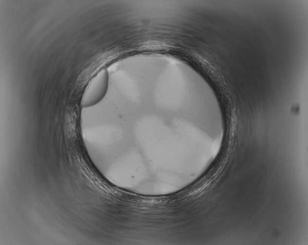 X0000114701401200912021057