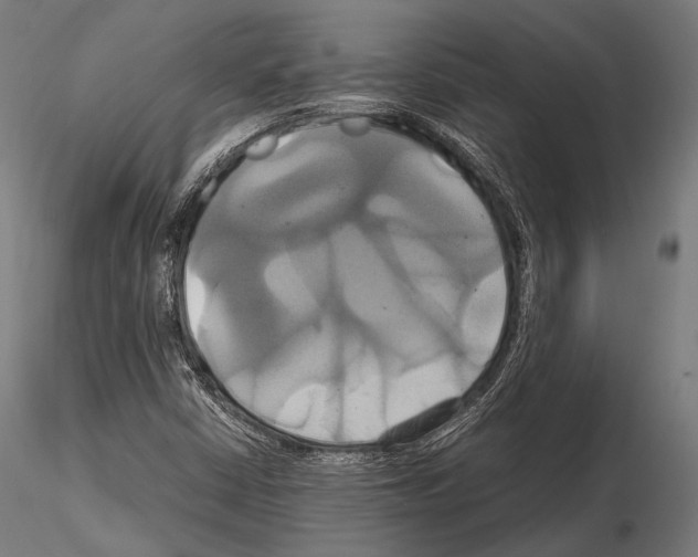 X0000114701402200912021057