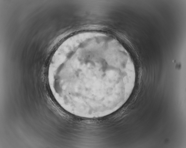 X0000114701404200912021057