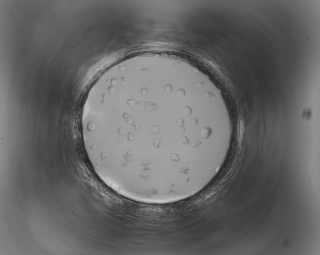 X0000114701405200912021057