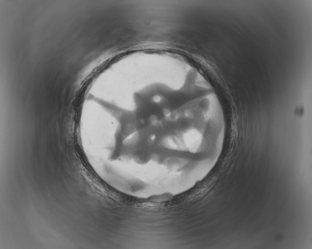 X0000114701406200912021057