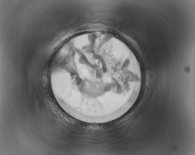 X0000114701407200912021057