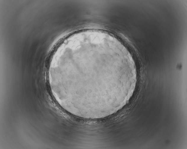 X0000114701408200912021057