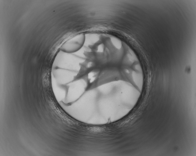 X0000114701409200912021057