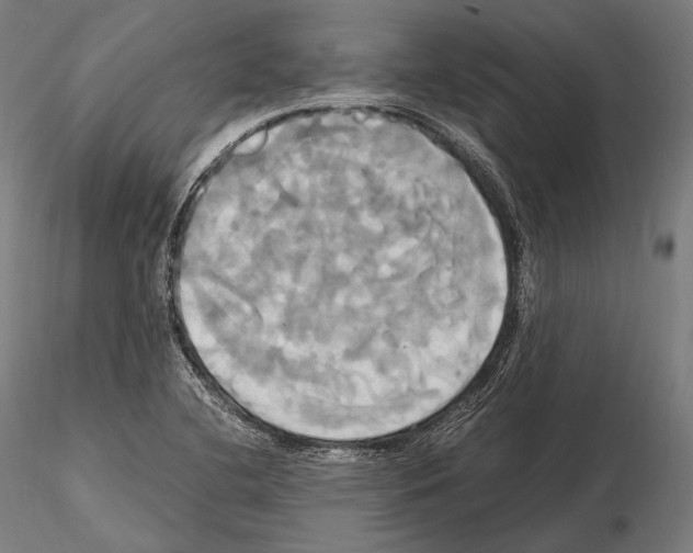 X0000114701412200912021057