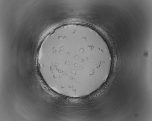 X0000114701413200912021057