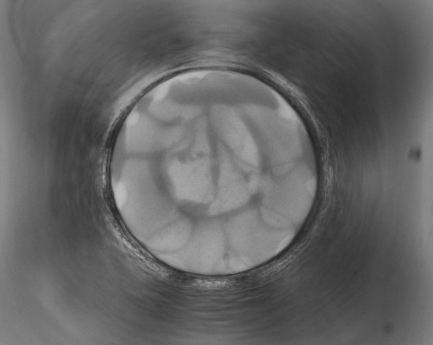 X0000114701415200912021058