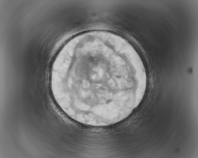 X0000114701416200912021058