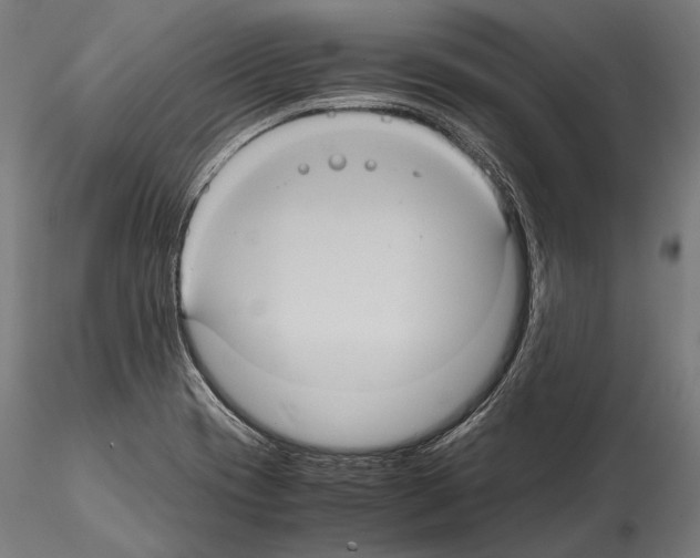 X0000114701417200912021058