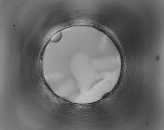 X0000114701419200912021058