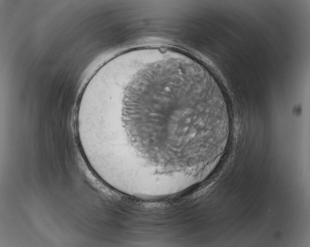 X0000114701421200912021058