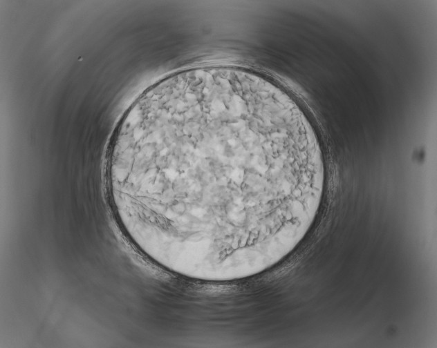 X0000114701423200912021058