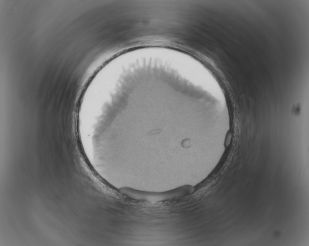 X0000114701424200912021058