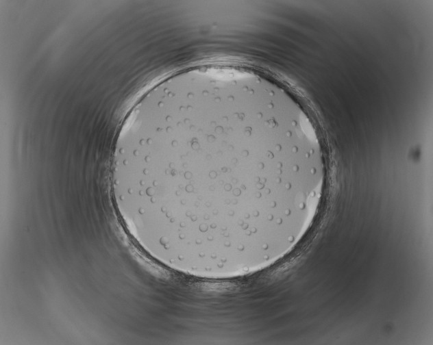 X0000114701425200912021058