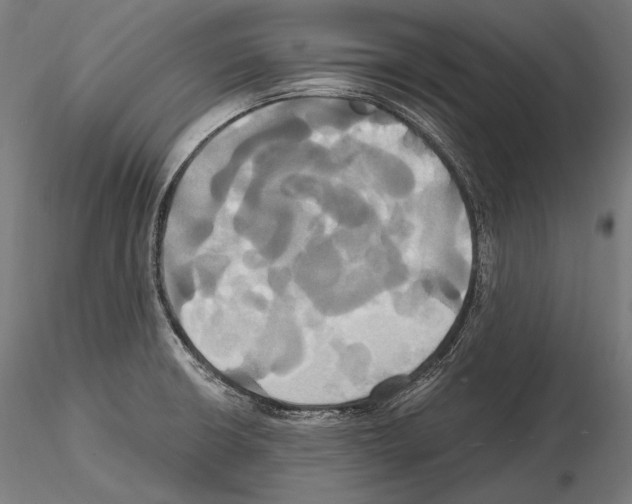 X0000114701426200912021058