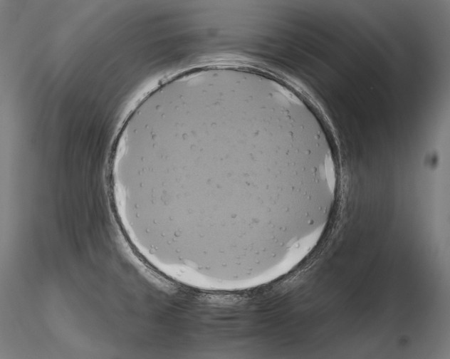 X0000114701429200912021058