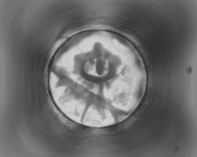 X0000114701430200912021058