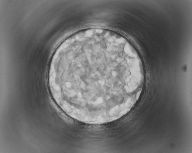 X0000114701432200912021058