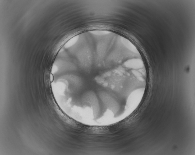 X0000114701433200912021058