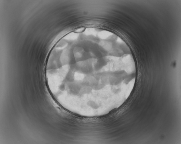 X0000114701434200912021058