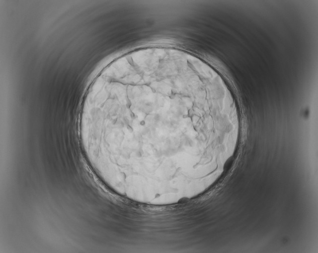 X0000114701436200912021058