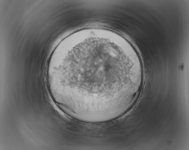 X0000114701437200912021058