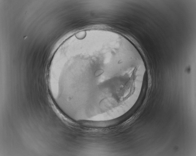 X0000114701438200912021058