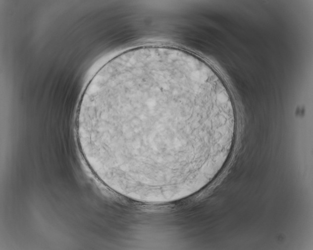 X0000114701440200912021058