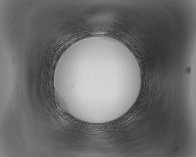 X0000114701441200912021057