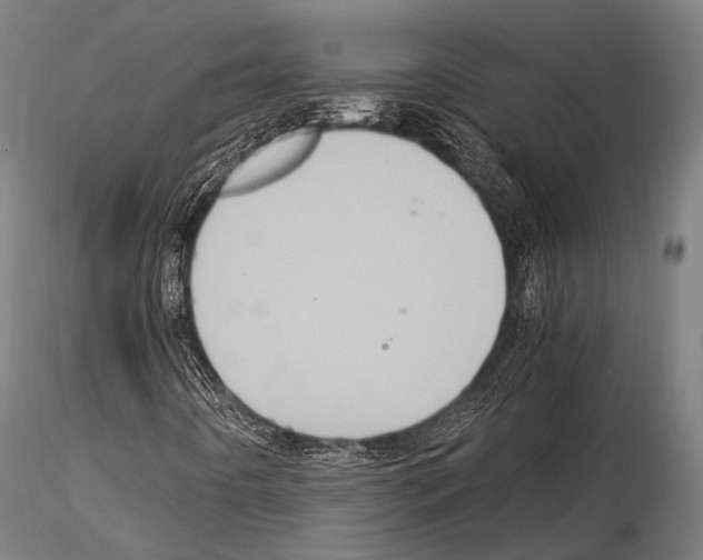 X0000114701442200912021057