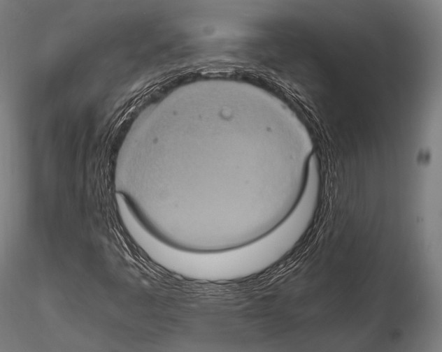 X0000114701445200912021057