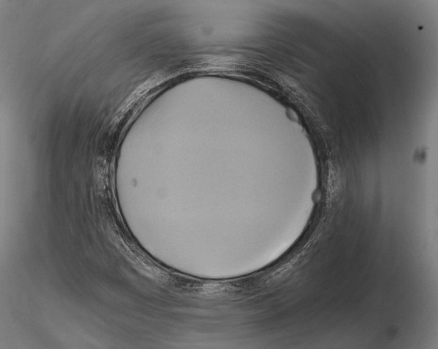 X0000114701449200912021057