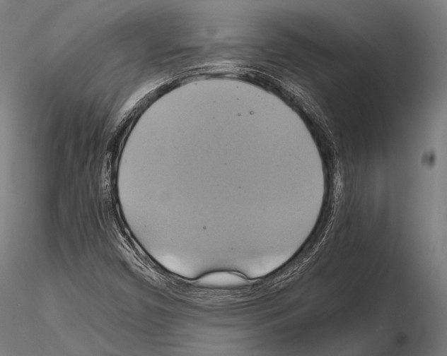 X0000114701450200912021057