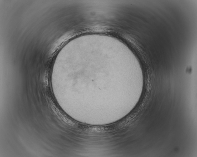 X0000114701451200912021057