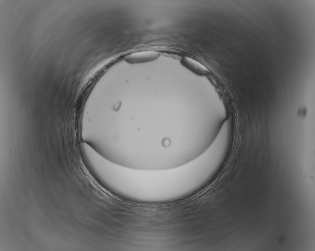 X0000114701452200912021057