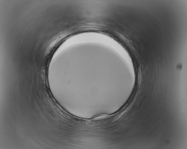 X0000114701453200912021057