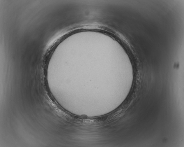 X0000114701456200912021057