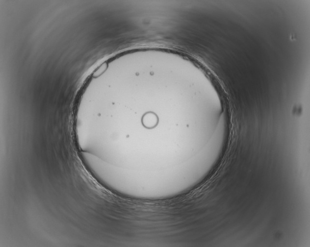 X0000114701460200912021057