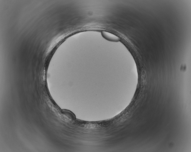 X0000114701461200912021057