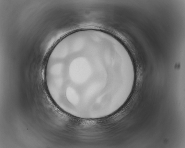 X0000114701462200912021057