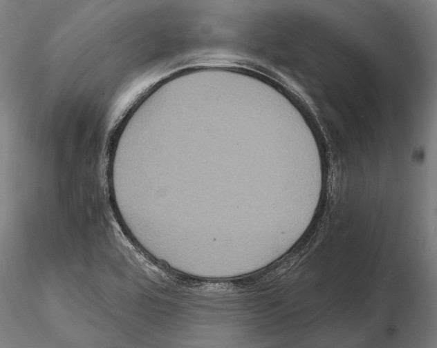 X0000114701464200912021057