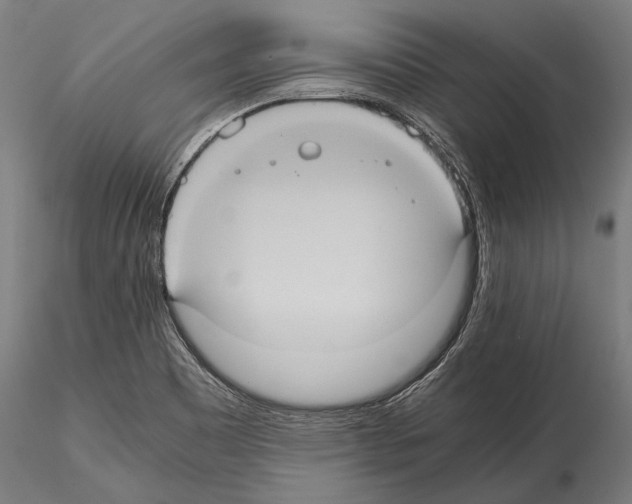 X0000114701465200912021057