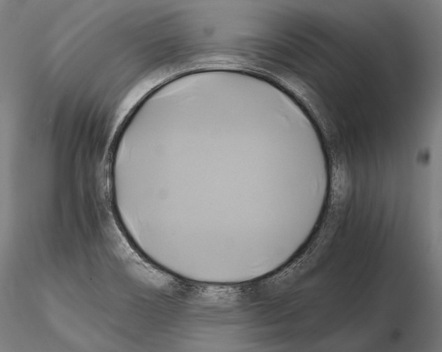 X0000114701466200912021057