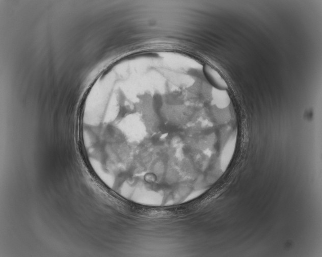 X0000114701467200912021057