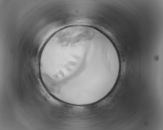 X0000114701470200912021057