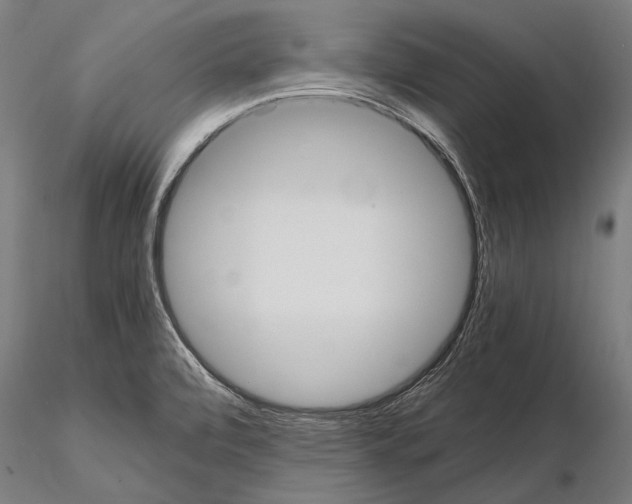 X0000114701472200912021057