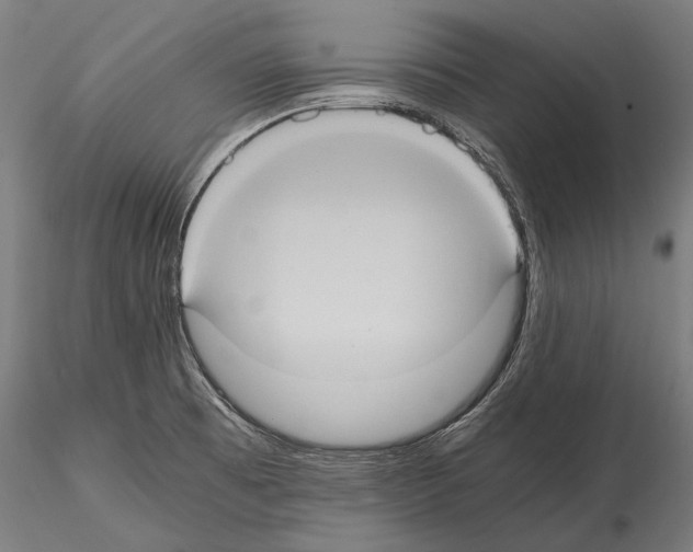 X0000114701473200912021057