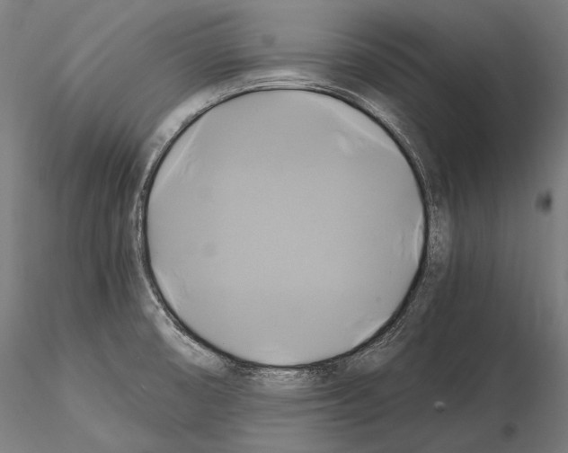 X0000114701474200912021057