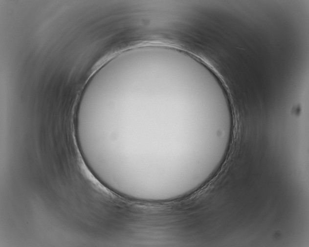 X0000114701476200912021057