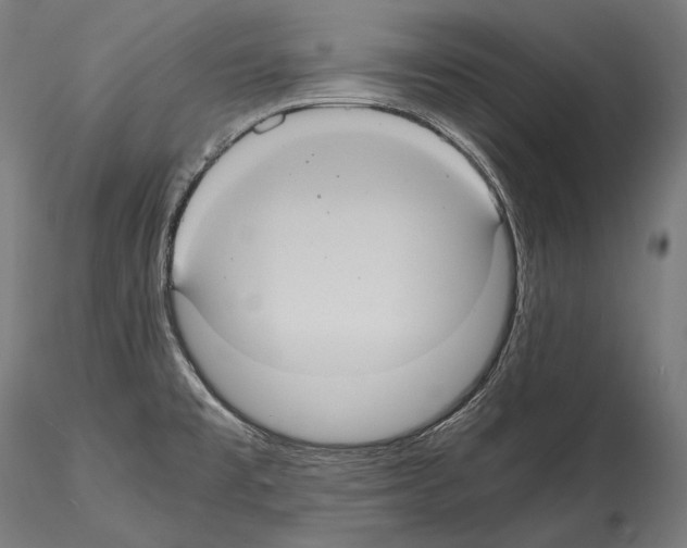 X0000114701477200912021057